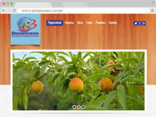 Home 32 Benemann - Hortfrutigranjeiros - Pelotas- Criado Por K7Web