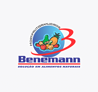 Benemann  : Criação de site