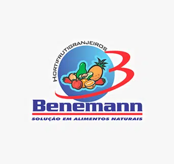 Benemann  : Criação De Site